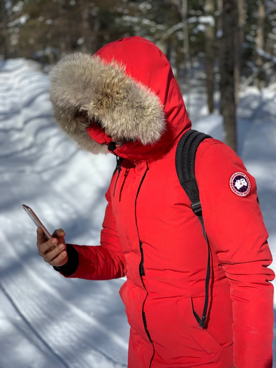 Canada goose 2025 victoria 04