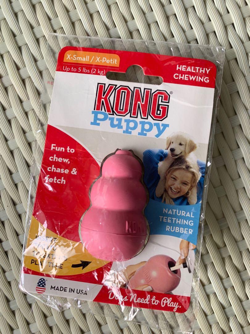 extra small kong