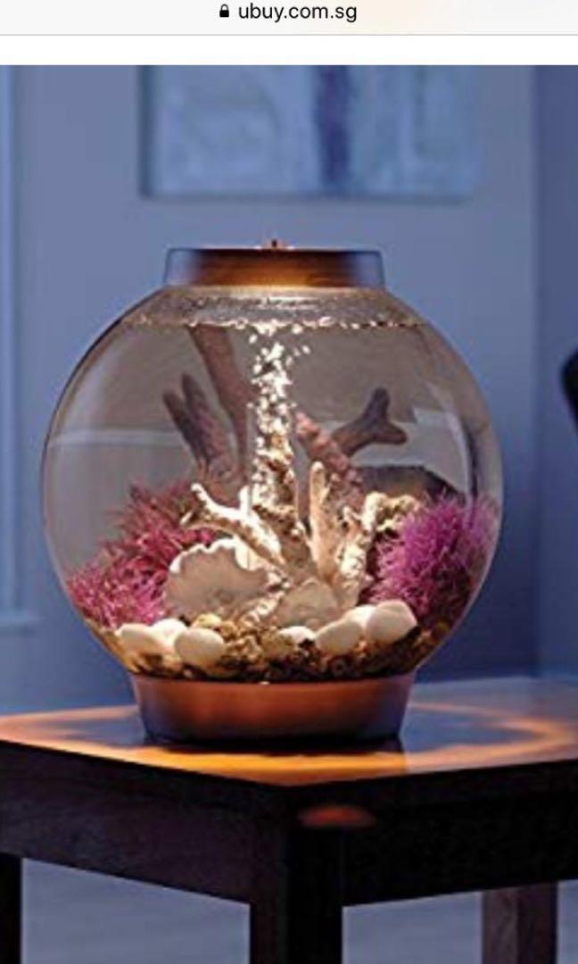 round fish tank