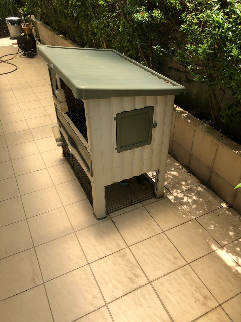 Two Level Rabbit cage Free, Pet Supplies, Homes & Other Pet