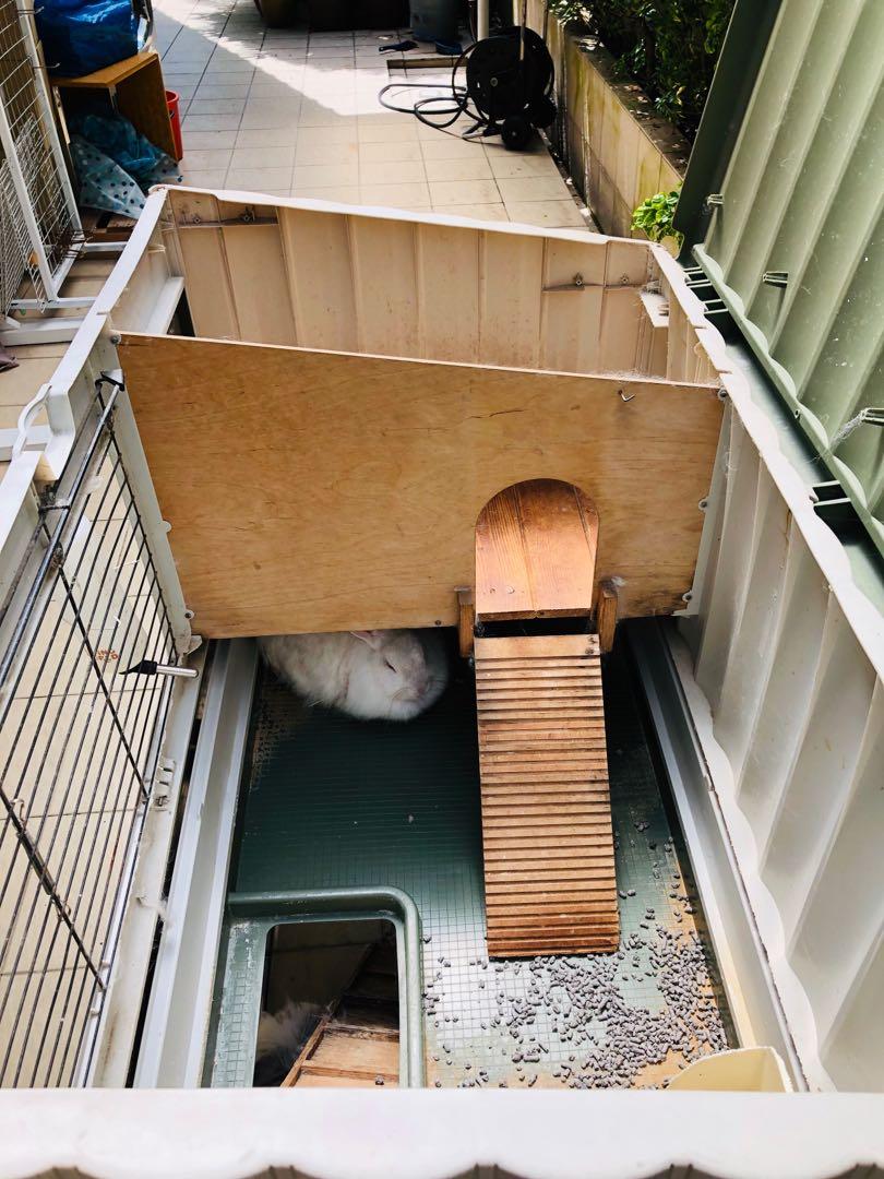 Two Level Rabbit cage Free, Pet Supplies, Homes & Other Pet