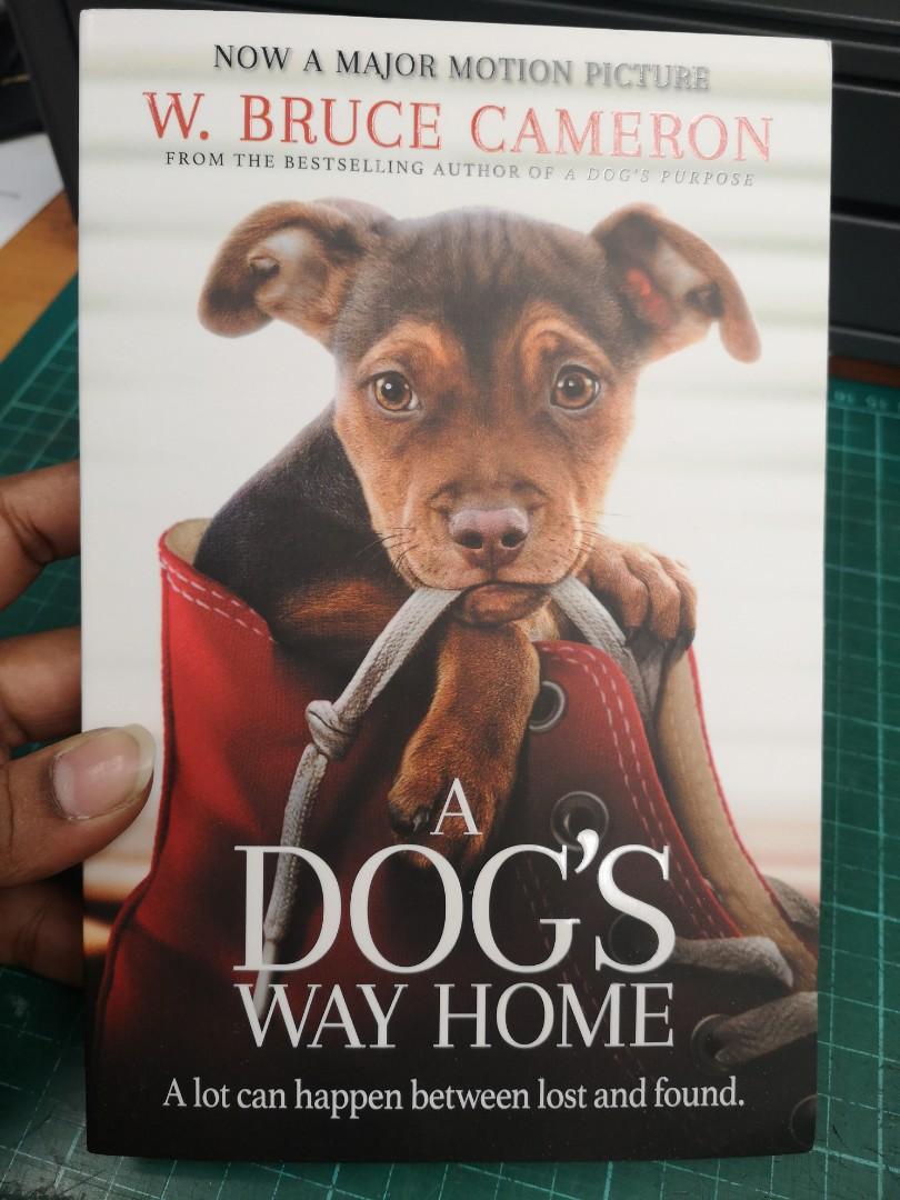 A Dog S Way Home Books Stationery Fiction On Carousell