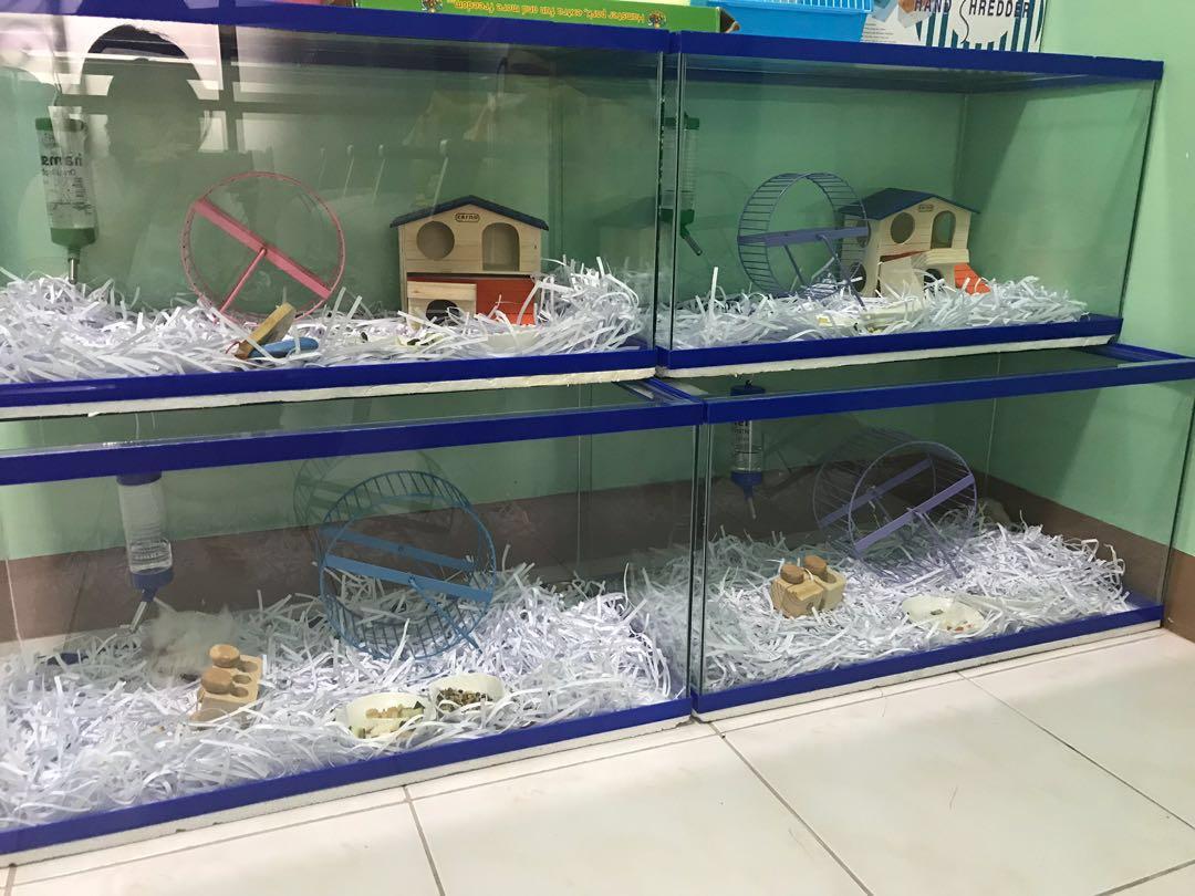 Rush Sale Hamster tank fish tank Pet Supplies Homes Other Pet Accessories on Carousell