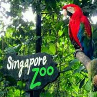 Singapore Zoo Tickets