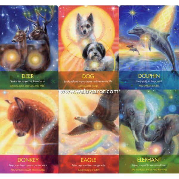 Archangel Animal Oracle Cards A 44Card Deck and Guidebook By