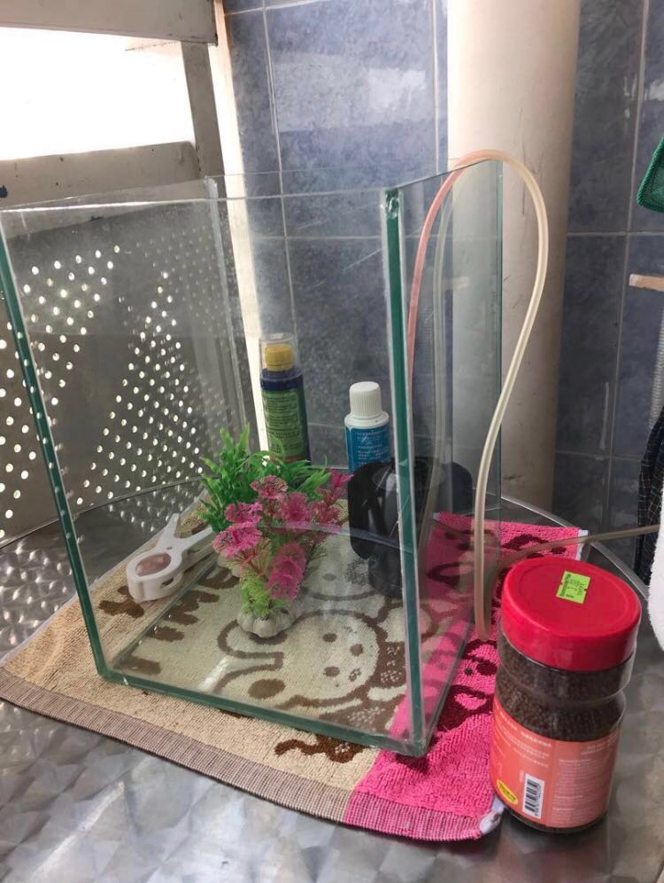 xiaomi geometry fish tank aquaponics ecosystem - aquaponic