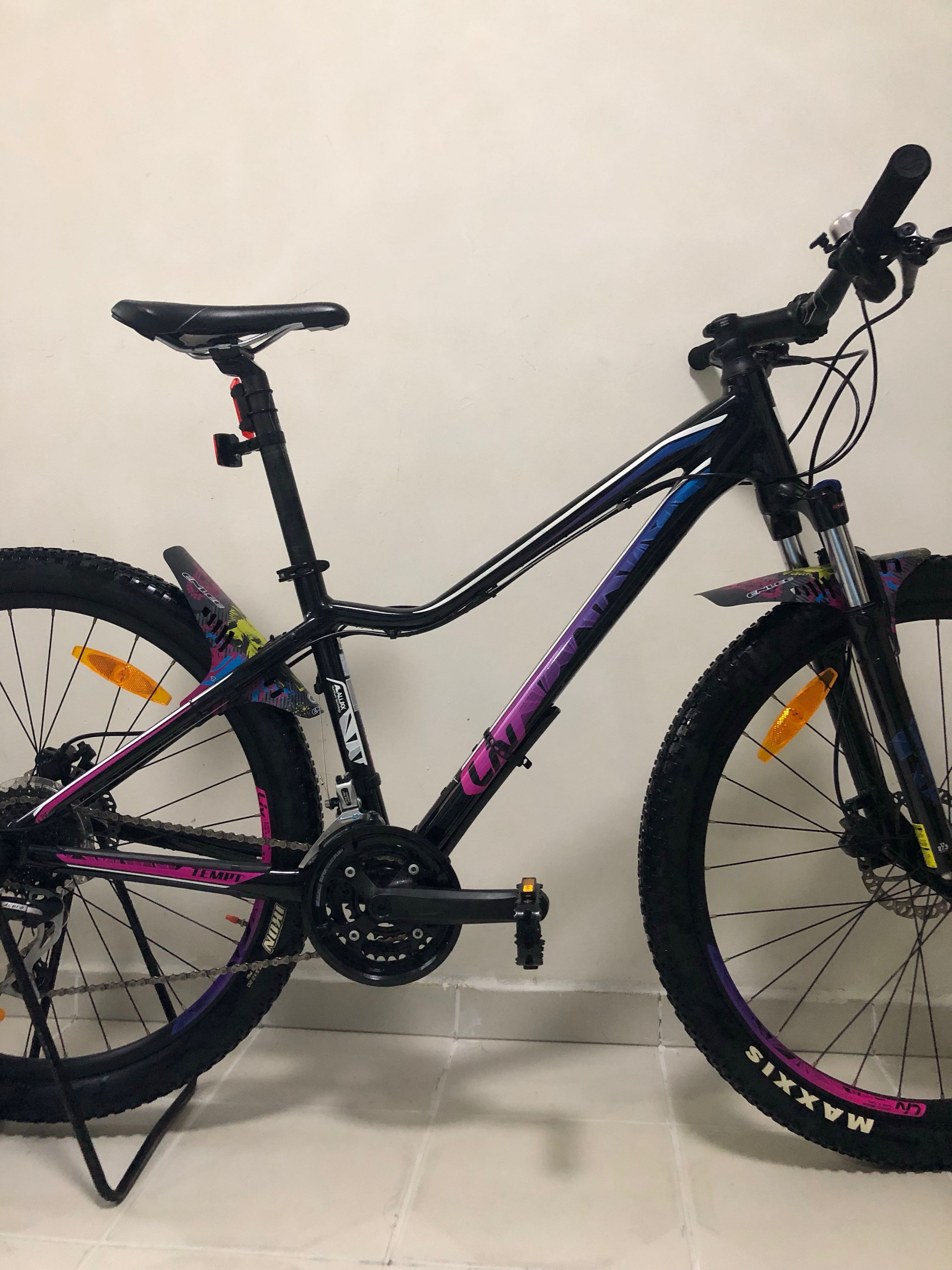 giant mtb frame
