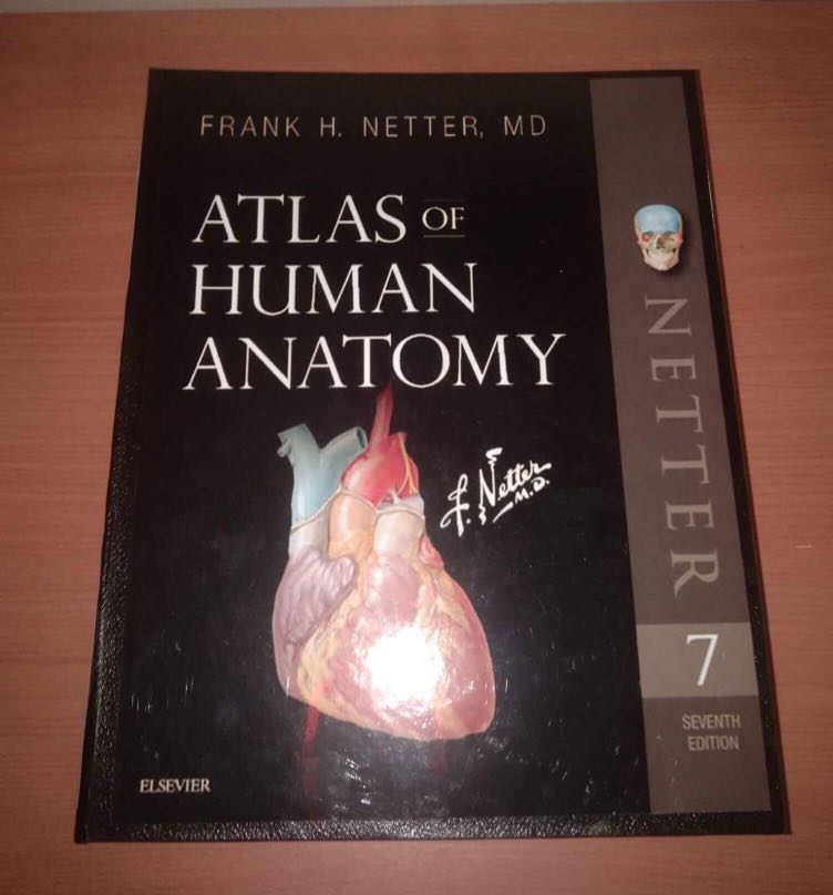 Netter atlas of human anatomy 7th ed hobbies toys books magazines