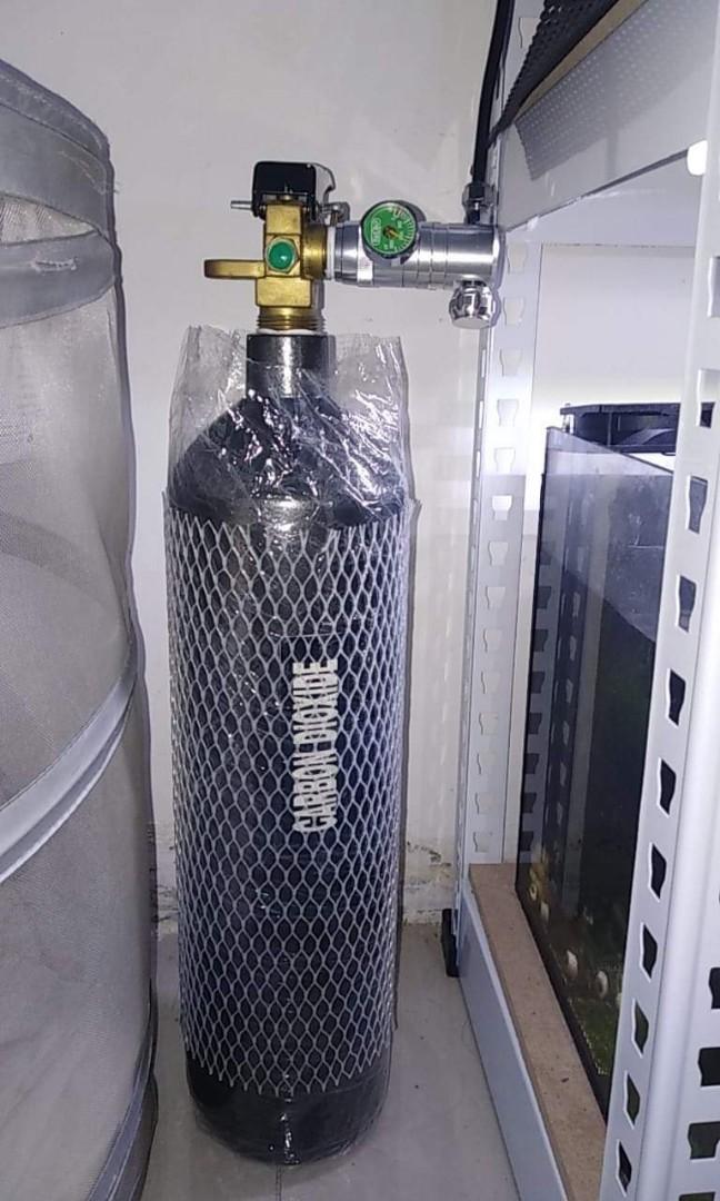 tong co2 fire extinguisher expired, Pet Supplies, Health & Grooming on Carousell