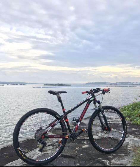 trek wahoo disc 29