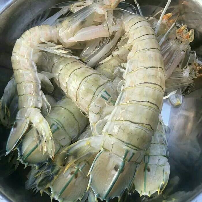Udang Lipan Udang Ronggeng Makanan Minuman Makanan Instan Di Carousell