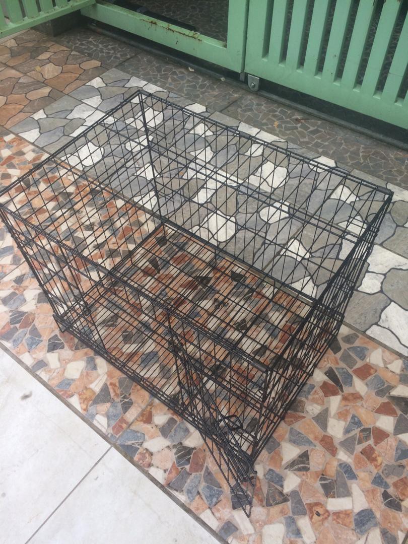 used cat cage for sale, Pet Supplies, Homes & Other Pet Accessories on
