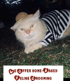 (Category: ) located in . Submitted by meow.zonia.758 (Listing ID 218247658, Image 1). Description: .