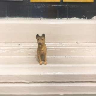 一隻特別的德國獵犬