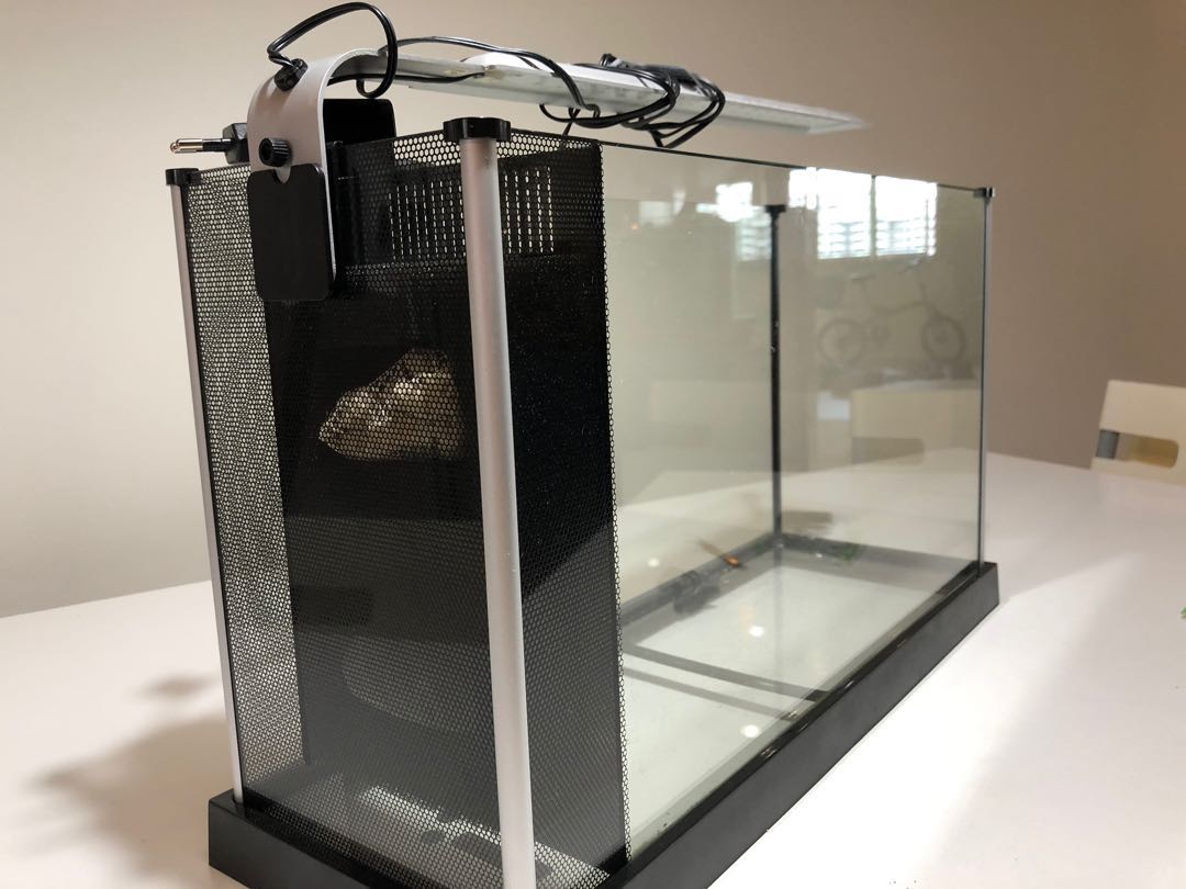 box filter aquarium 50cm