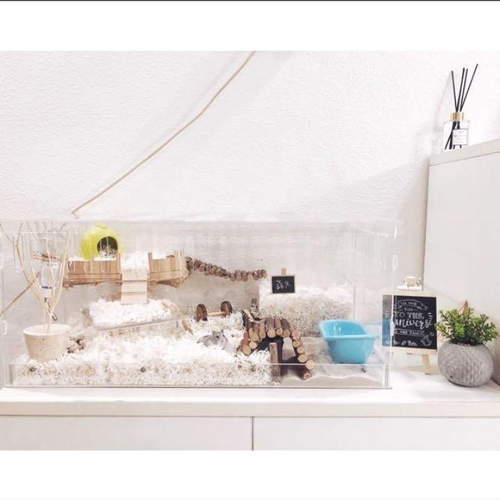 acrylic guinea pig cage