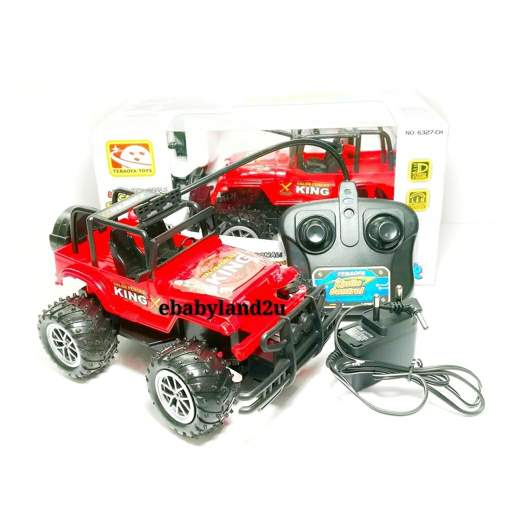 Famous shop rc car