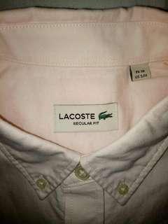 LACOSTE KEMEJA