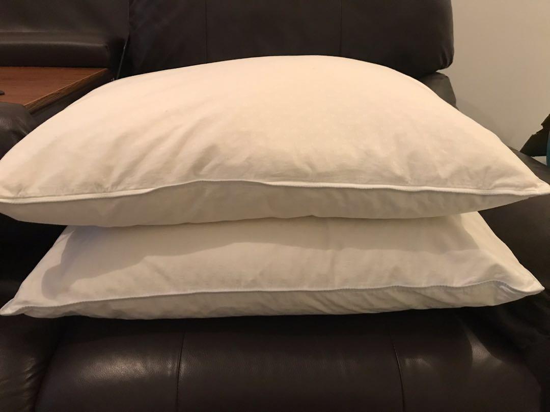 2 Down Feather Charter Club Pillows Home Furniture Home Others