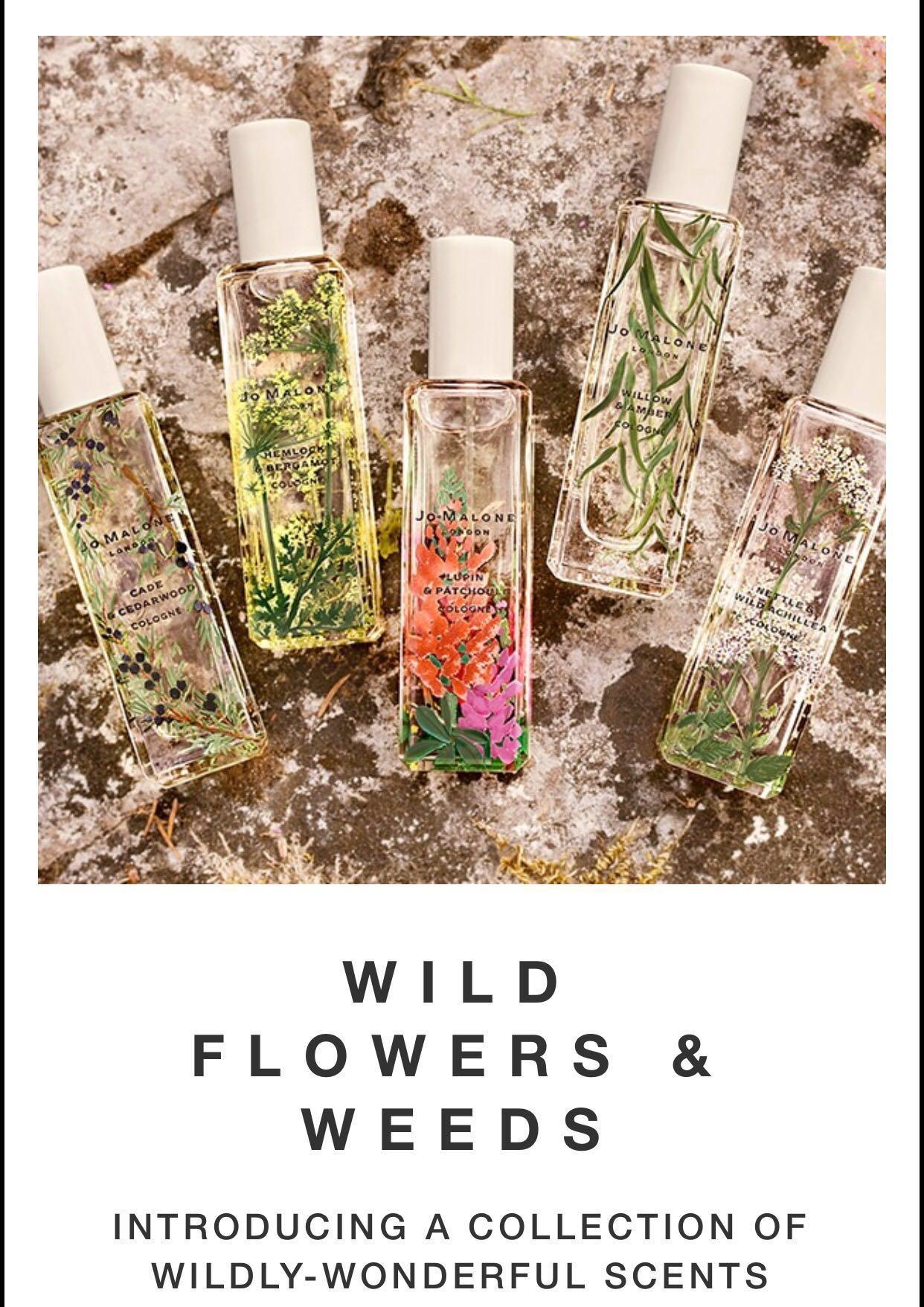 Weeds Jo Malone Nettle Weeds Nettle And Wild Achillea Best Jo