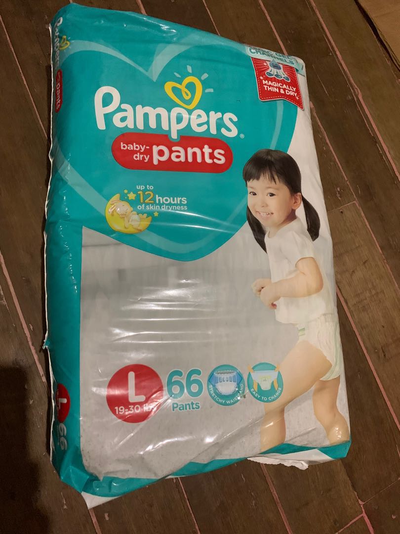 pampers dry pants price