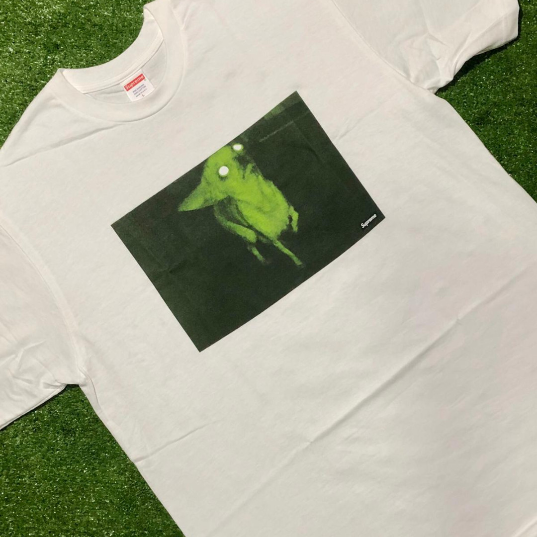 Supreme hotsell chihuahua tee
