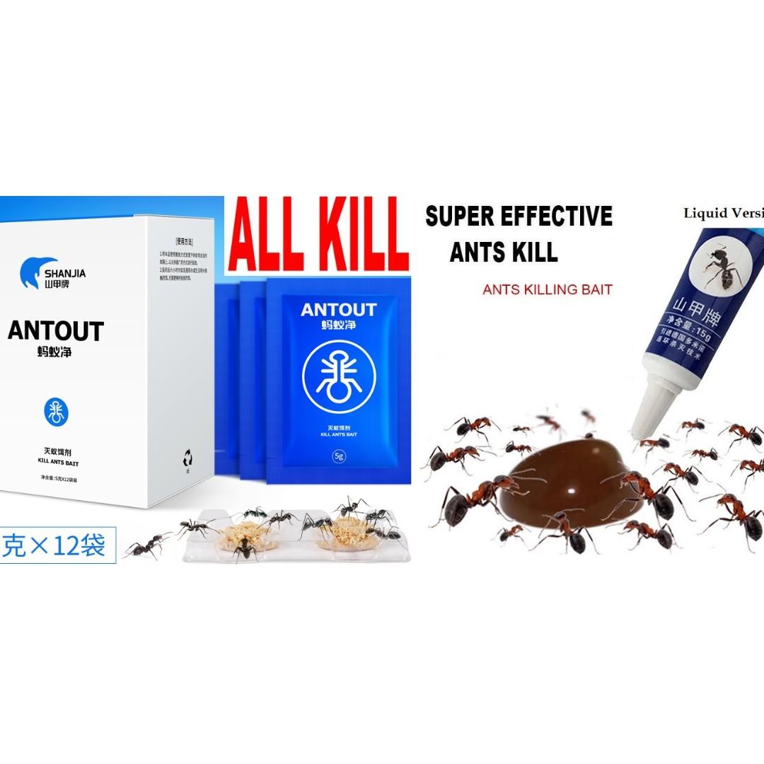 Ants Drugs Powder Ant Killing Bait Medicine Pesticides Insecticide Termite Killer Ant Destroy Pest Control Everything Else On Carousell