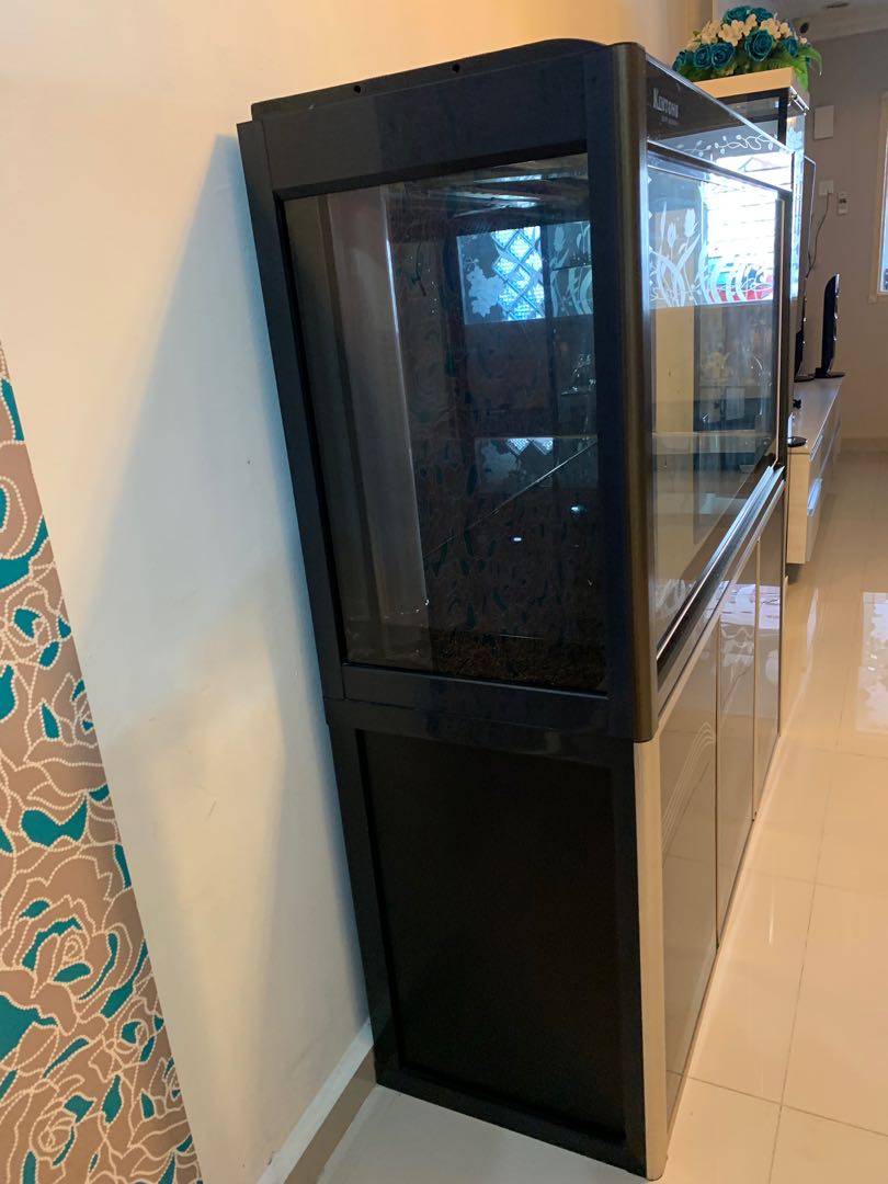 Aquarium Kinston, Pet Supplies, Homes & Other Pet Accessories on