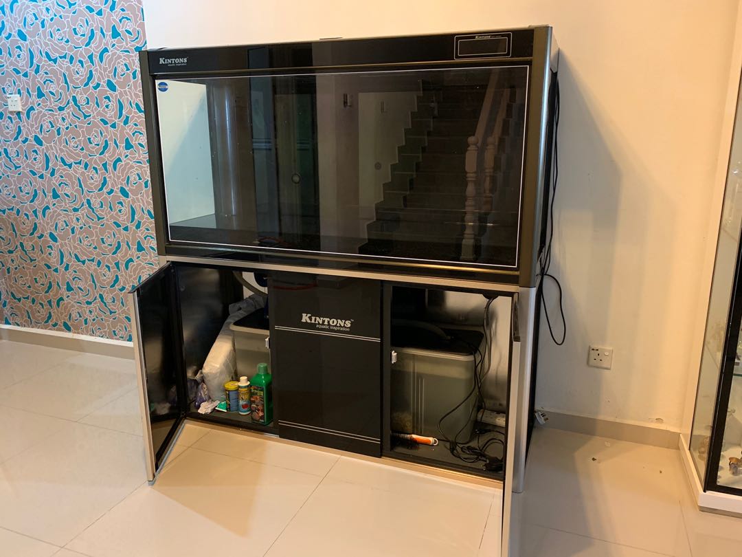 Aquarium Kinston, Pet Supplies, Homes & Other Pet Accessories on