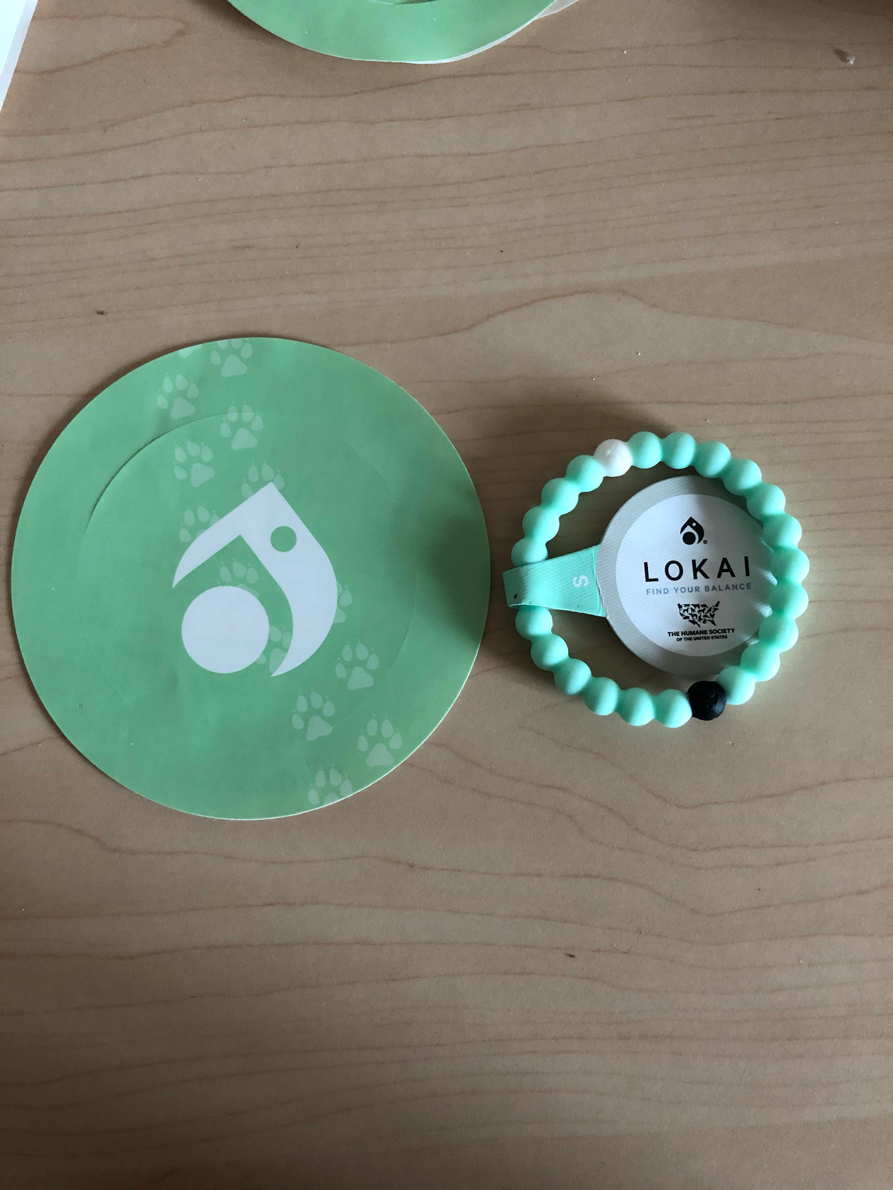Animal rescue new arrivals lokai