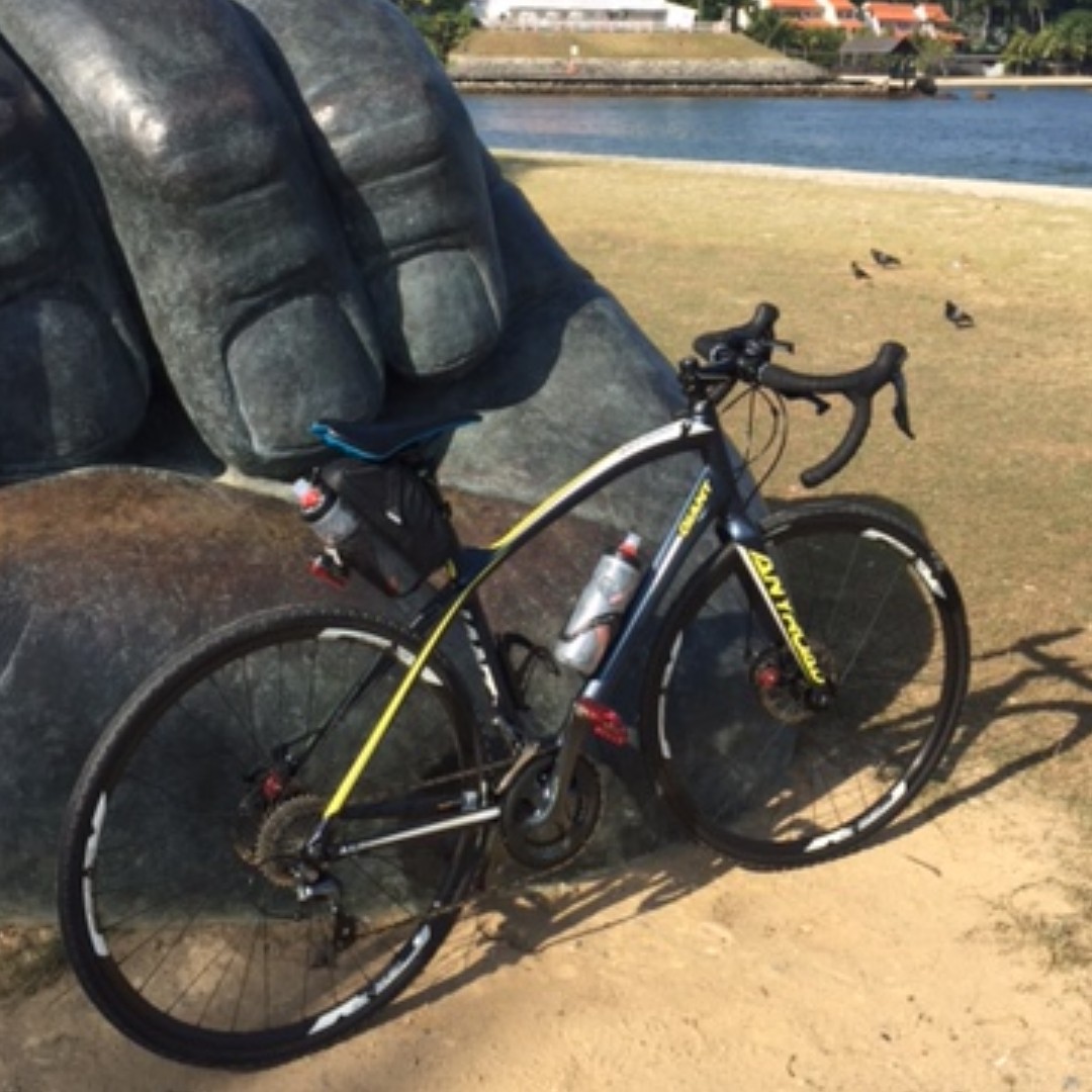 Giant anyroad 2025 1 2019