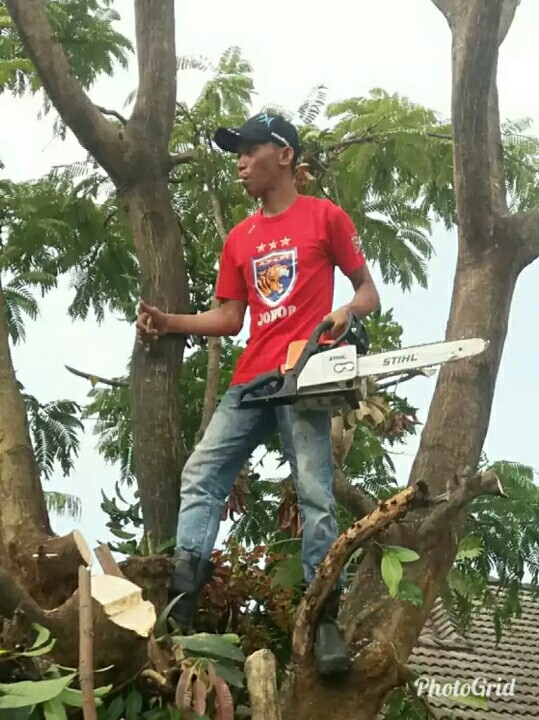 Potong Pokok Bangi 0183923008 Herman Services Home Services