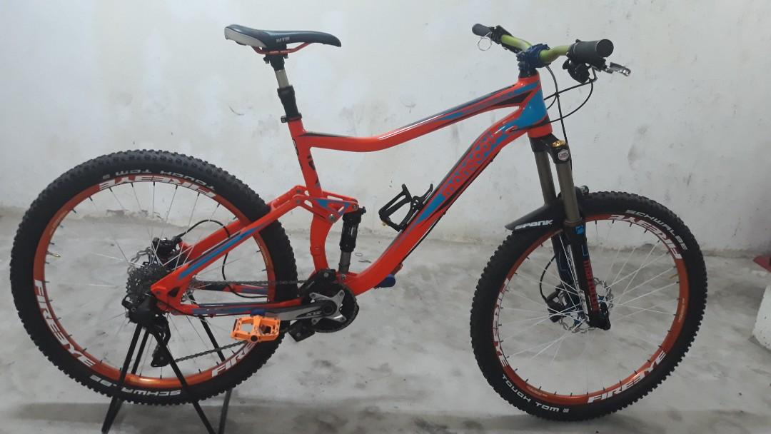 mongoose teocali expert