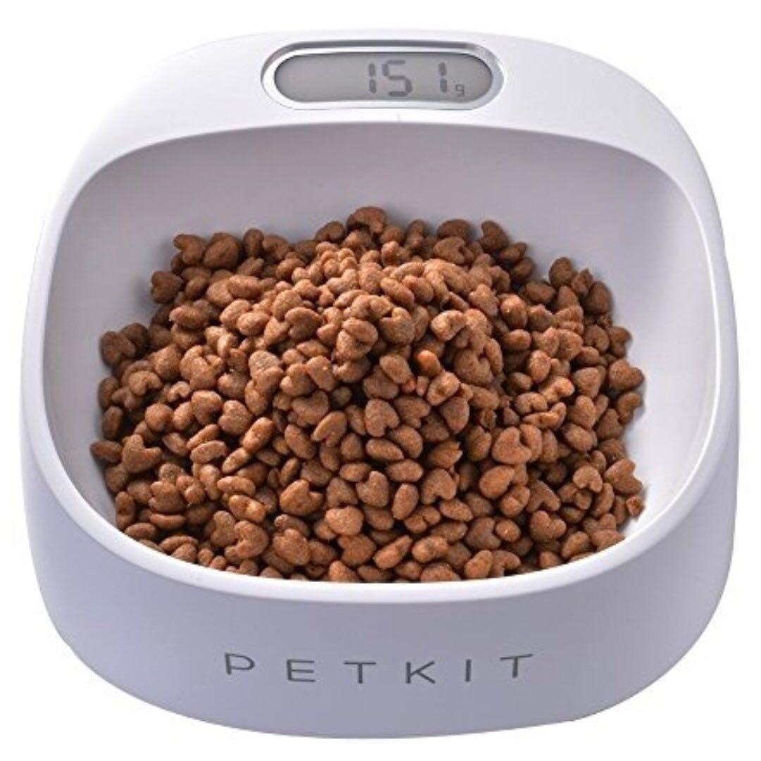 No flip store dog bowl