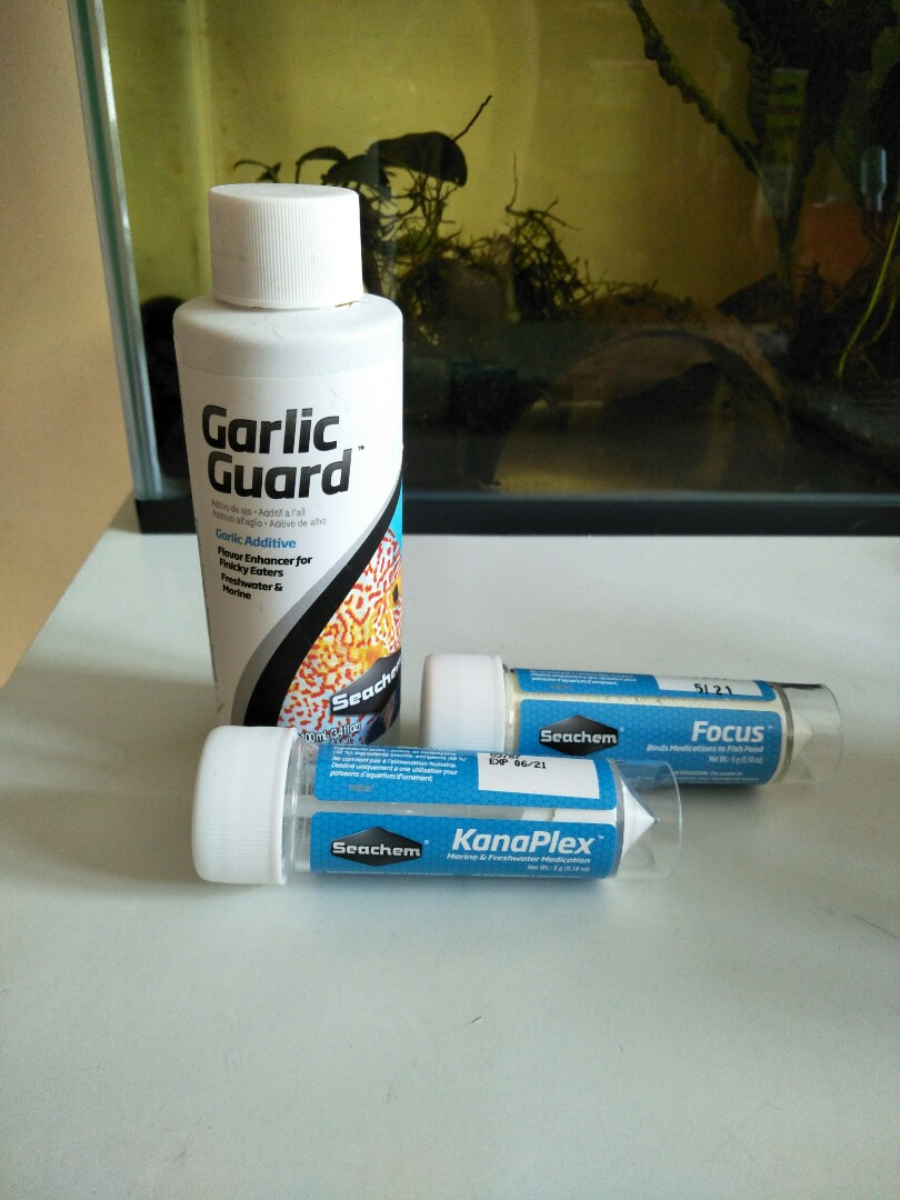 Seachem Kanaplex medicated food, Pet Supplies, Pet Food on Carousell