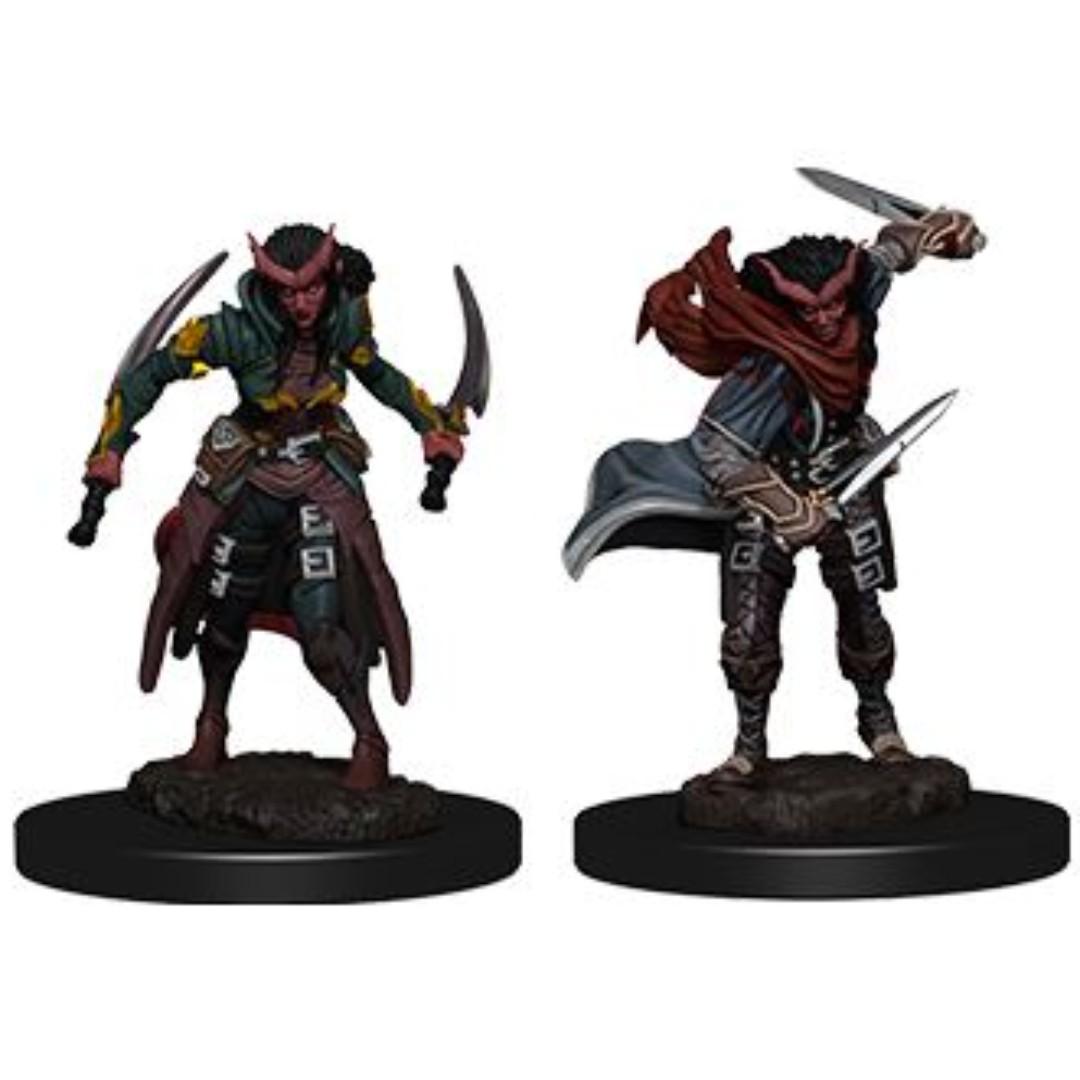 Tiefling Rogue Female - Dungeons & Dragons Miniatures, Toys & Games 
