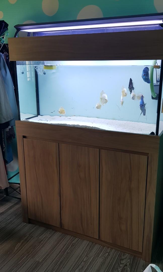 4ft x 2ft x 2ft fish tank with Pet Supplies, Homes & Other