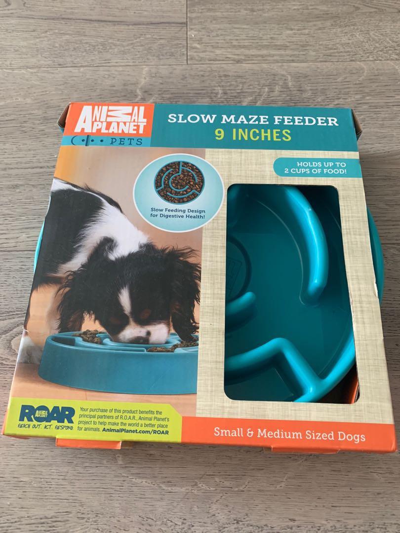 Animal planet slow maze feeder clearance