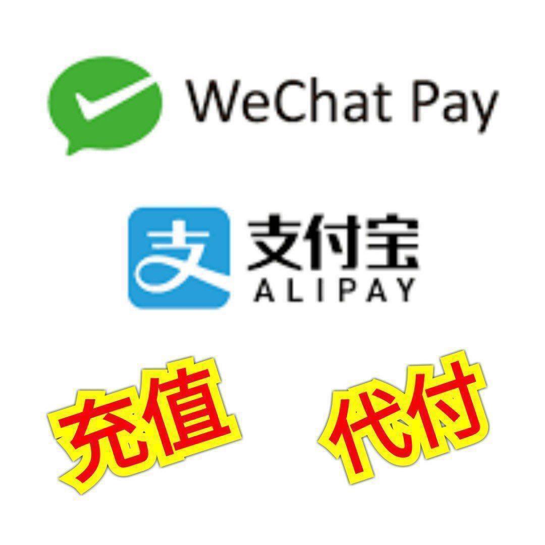 充值·代付] 大陸支付寶·大陸微信支付（即時到賬/ 付款）, 服務, 其他- Carousell