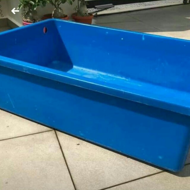 Blue plastic tank (4ft x 2.5ft x 1.5 depth)