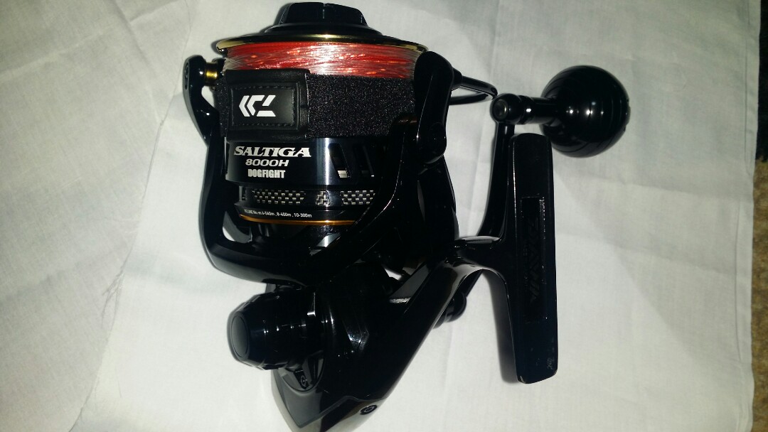 daiwa dogfight 8000h