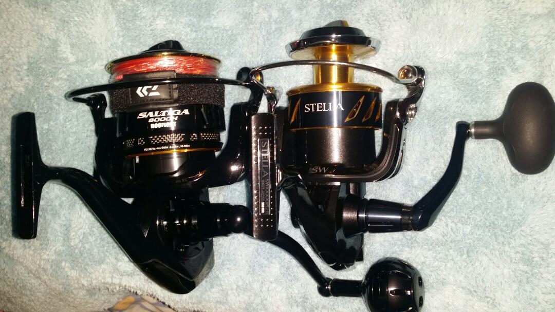 daiwa saltiga dogfight 10000