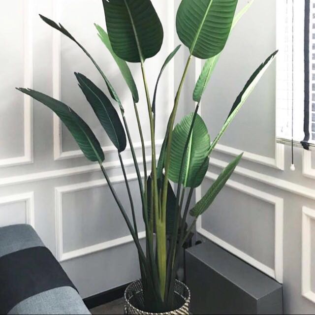 INSTOCK Faux indoor plant banana leaf 1.5m fake artificial , Furniture &amp;  Home Living, Home Decor, Artificial Plants &amp; Flowers on Carousell