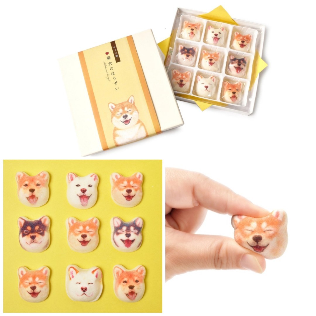 Pre Order Shiba Inu Marshmallow Food Drinks Homemade Bakes On Carousell Pre Order Shiba Inu Marshmallow Food Drinks Homemade Bakes On Carousell