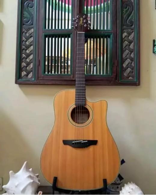Gitar Takamine G Series Musik Media Alat Di Carousell