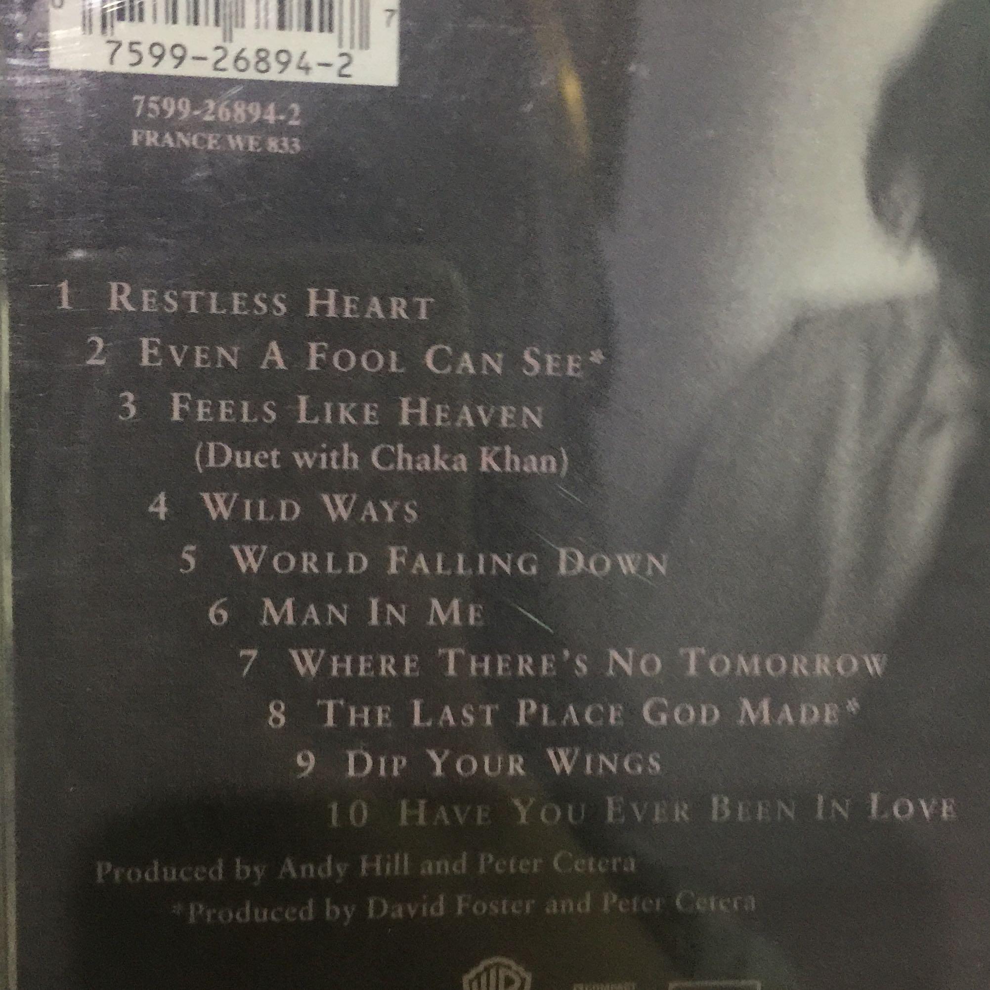 Crystal Bernard'S Husband: Unveiling The Mystery Of Peter Cetera - 91j7zfa