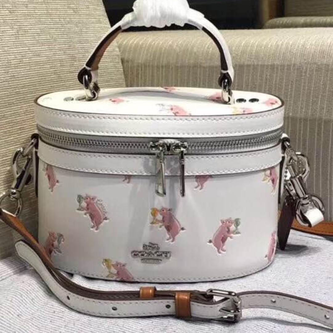 coach pig bag