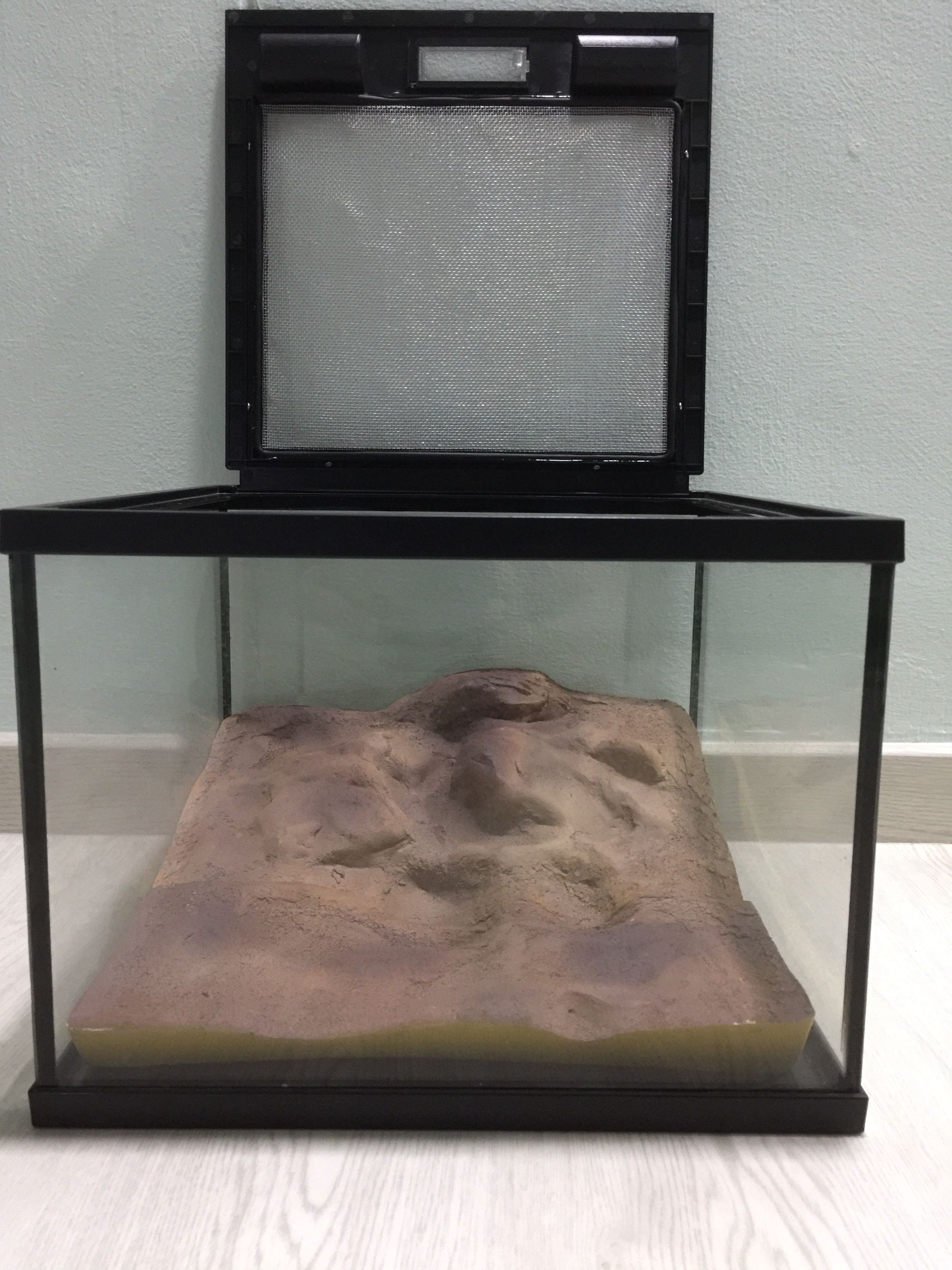 Fish tank / reptile tank, Pet Supplies, Homes & Other Pet Accessories