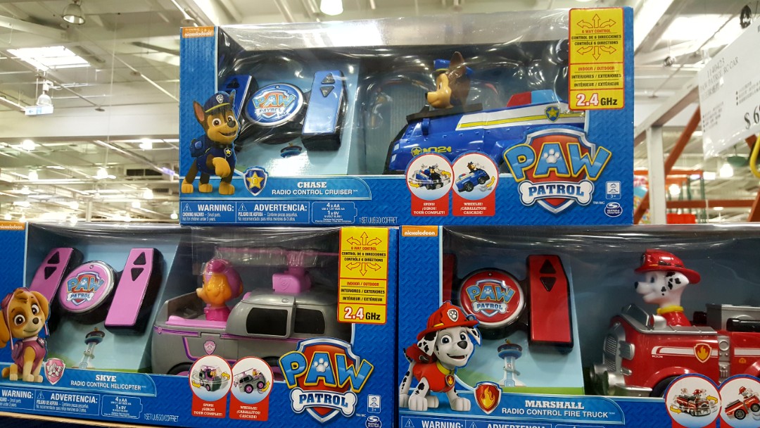 paw patrol tricycle costco