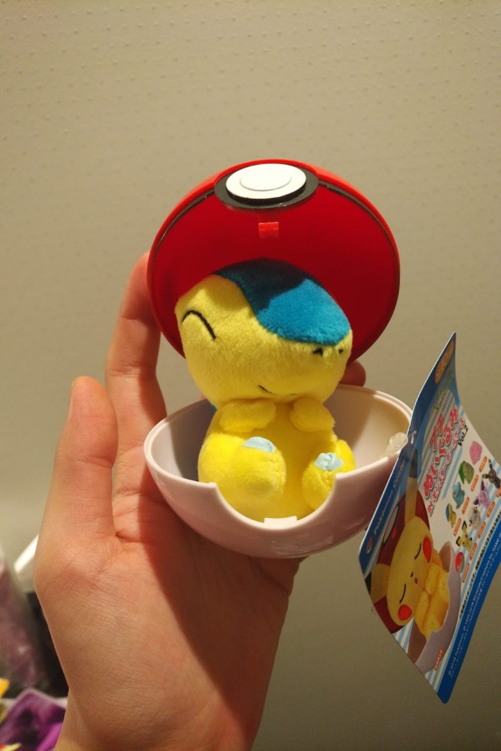pokemon center cyndaquil